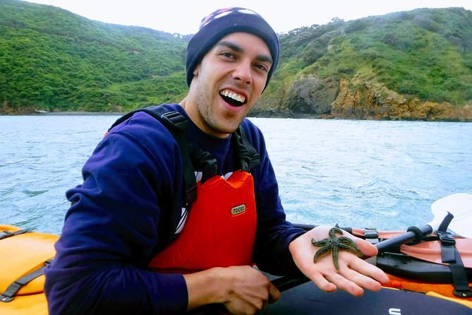 Small group guided sea kayaking in Akaroa marine reserve - Why Akaroa Is Such a Good Place to Kayak