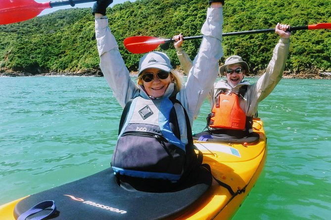 Small group guided sea kayaking in Akaroa marine reserve - Is $83.78 Good Value?