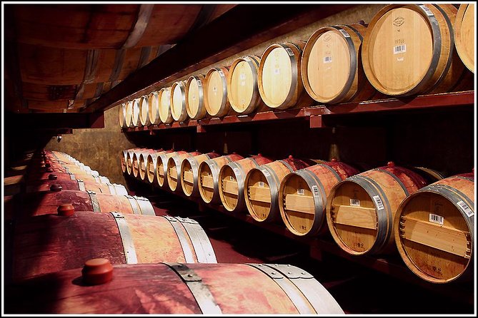 Small Group - Half-Day Hawke's Bay Winery Tour - The first stop, a boutique family winery