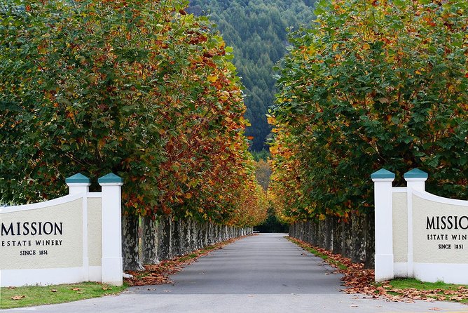 Small group - Napier Premium Wineries+ Beer tour -5.0 - 5.5 hours - The ride between stops is part of the experience
