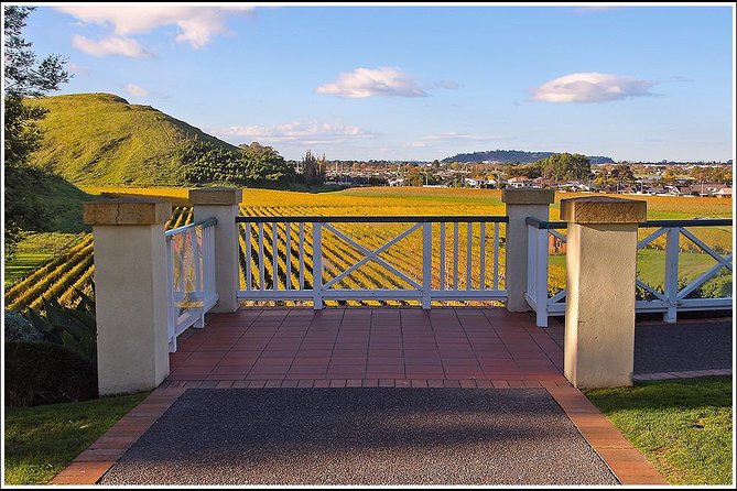 Small group - Napier Premium Winery , Beer & Cider + 5.5h to 6h. - Winery one: the oldest stop adds useful context