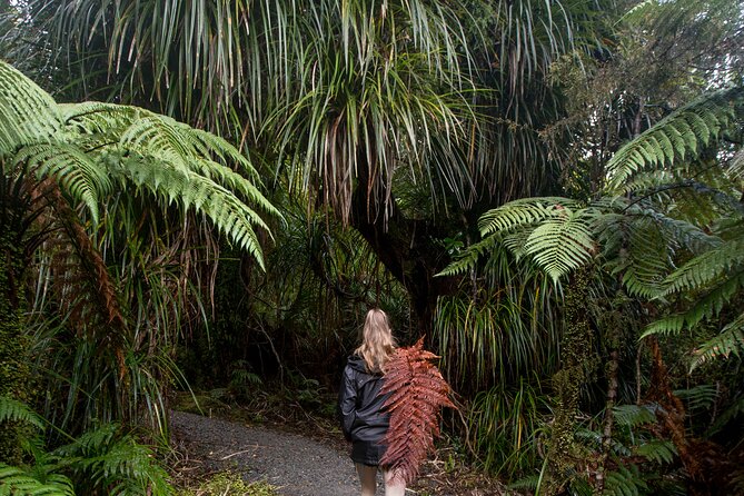 Small Group Northern Voyager 7 Days Tour - Day 6: Glow worms below Waitomo, then beer in Raglan