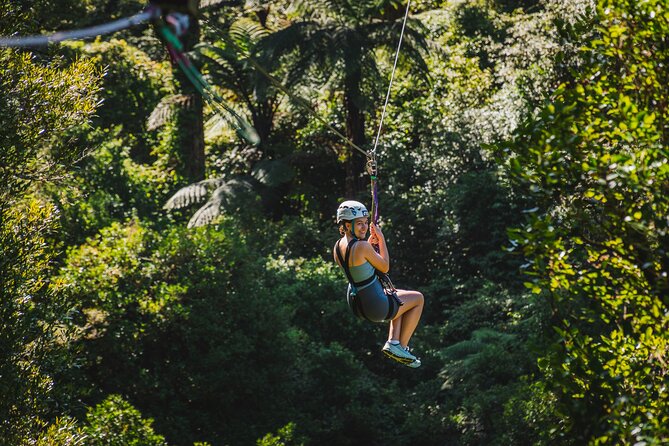 Small Group Northern Voyager 7 Days Tour - Day 1: Cathedral Cove and the Coromandel coast