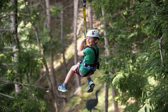 Small-Group Zipline Adventure in Queenstown - Reaching the Ziptrek Treehouse above Queenstown