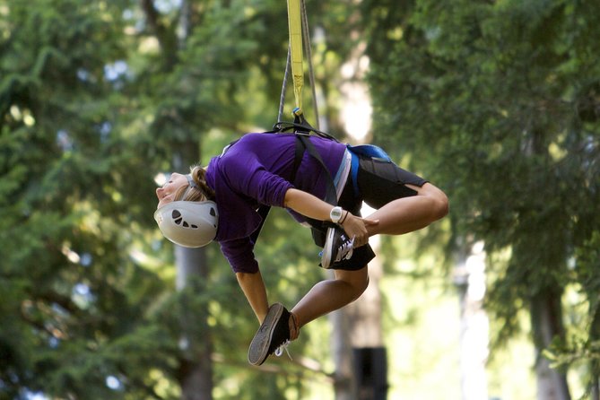 Small-Group Zipline Adventure in Queenstown - How the guides shape the experience