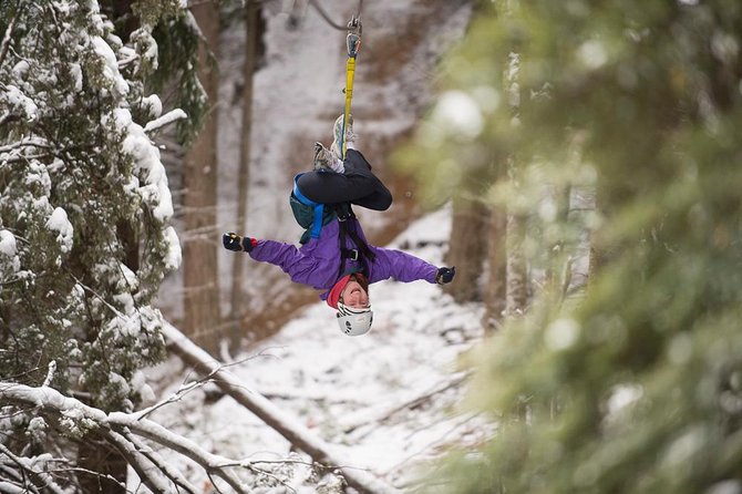 Small-Group Zipline Adventure in Queenstown - Is the two-hour format good value?