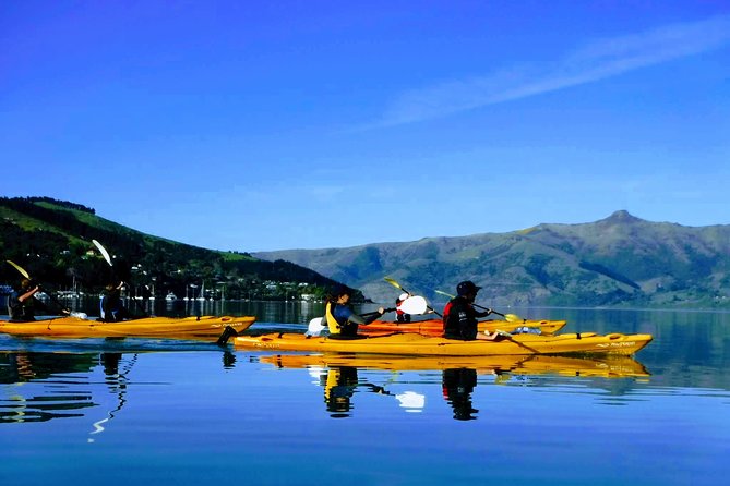 Solar Explorer in Akaroa - Sun-Viewing Tour with Telescopes - Who Should Book Solar Explorer?