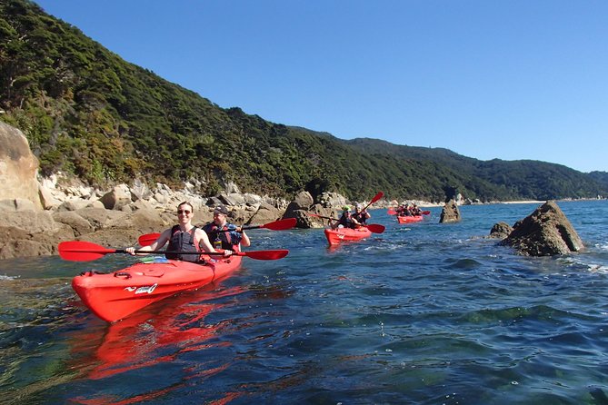 Southern Duo kayak & walk tour - Starting at Marahau at 8:30 am
