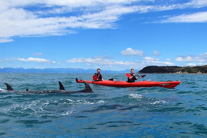 Southern Duo kayak & walk tour - Is $117.91 a fair price?