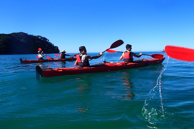 Southern Duo kayak & walk tour - Who should book this tour?