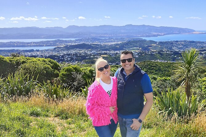 Spectacular Wellington: Full Day Private Sightseeing Tour - What the private vehicle adds