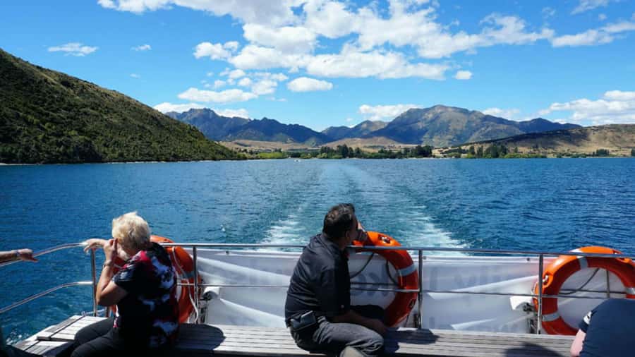 Stevensons Island 2-Hour Cruise and Nature Walk - Key Points