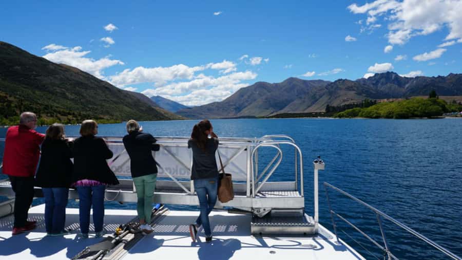 Stevensons Island 2-Hour Cruise and Nature Walk - Who Will Enjoy This Cruise Most
