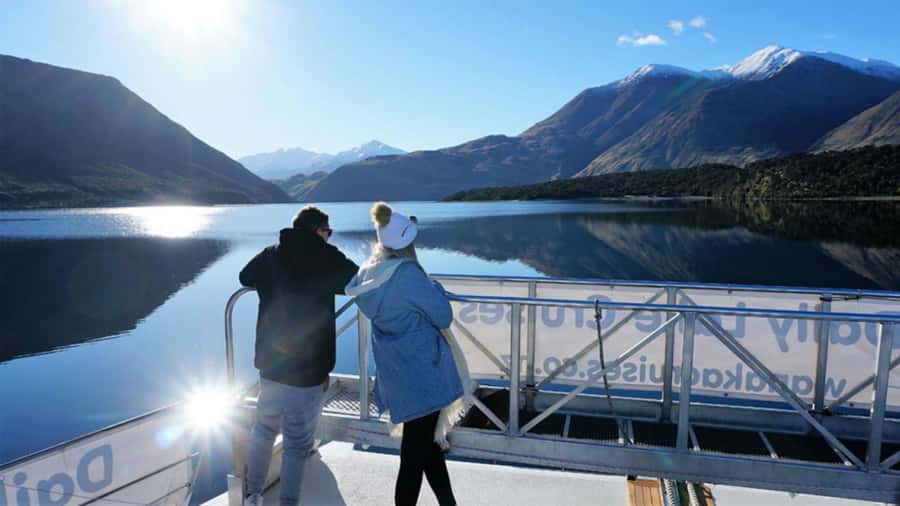 Stevensons Island 2-Hour Cruise and Nature Walk - Why Stevensons Island Makes a Good Lake Wanaka Excursion