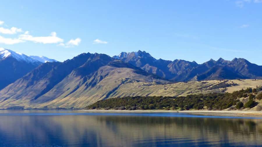 Stevensons Island 2-Hour Cruise and Nature Walk - The 10-Minute Walk to the Summit