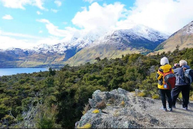 Stevensons Island Cruise and Nature Walk - Key points to know before you book