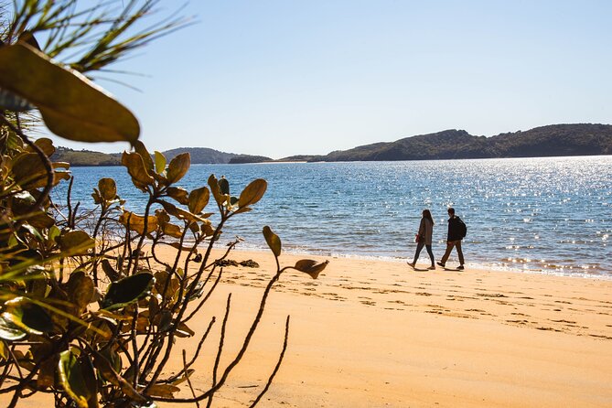 Stewart Island Fly Explore Fly ex Queenstown by Glenorchy Air - Five Hours to Explore Without a Group