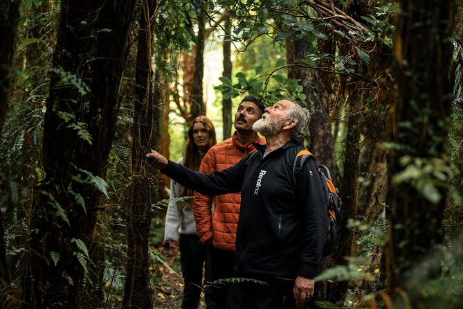 Stewart Island Guided Wilderness Walk - The boat from Oban to The Neck