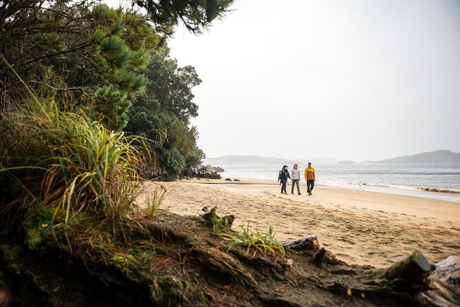 Stewart Island Guided Wilderness Walk - How the $123.49 price holds up