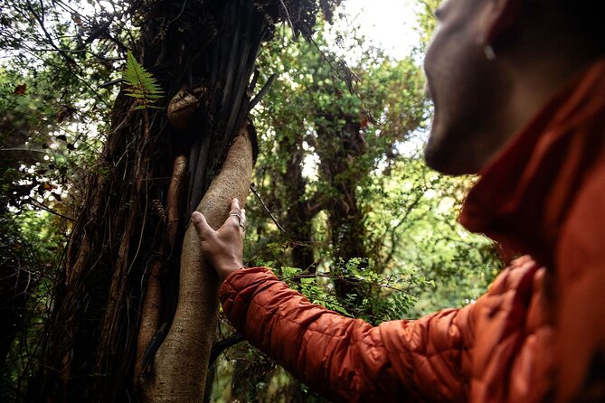 Stewart Island Guided Wilderness Walk - Group size, pace, and physical demands