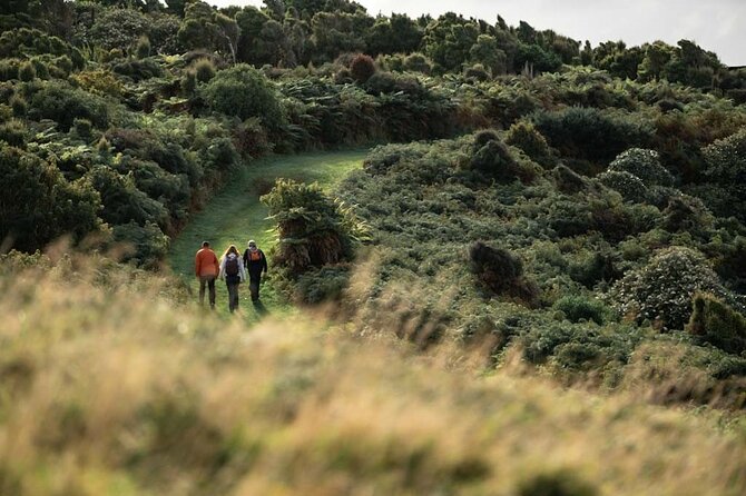 Stewart Island Guided Wilderness Walk - What can affect the day
