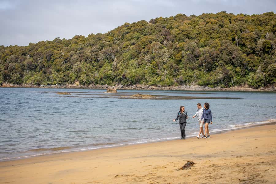 Stewart Island: Ulva Island Guided Wilderness Walk & Cruise - Key points at a glance