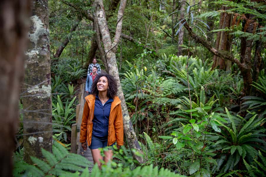 Stewart Island: Ulva Island Guided Wilderness Walk & Cruise - Booking advice and final verdict