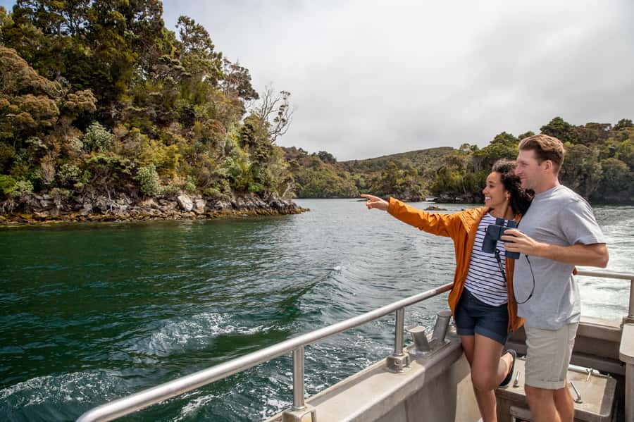 Stewart Island: Ulva Island Guided Wilderness Walk & Cruise - Setting out from Stewart Island’s main wharf