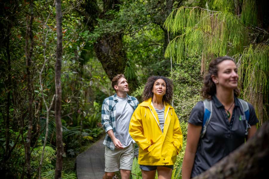 Stewart Island: Ulva Island Guided Wilderness Walk & Cruise - Let the guide train your eyes and ears