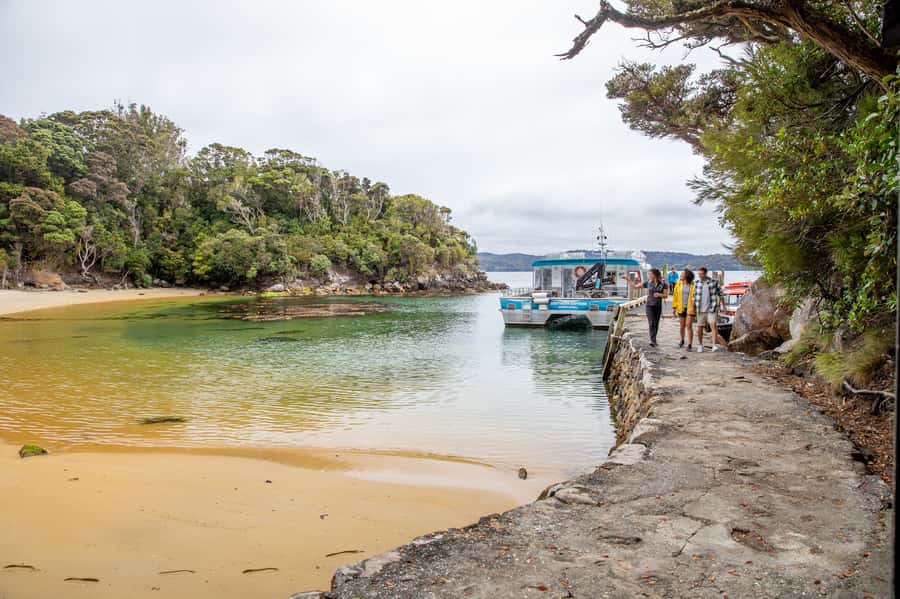Stewart Island: Ulva Island Guided Wilderness Walk & Cruise - What the cruise adds to the history