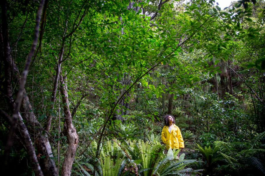 Stewart Island: Ulva Island Guided Wilderness Walk & Cruise - How much wildlife might you see?