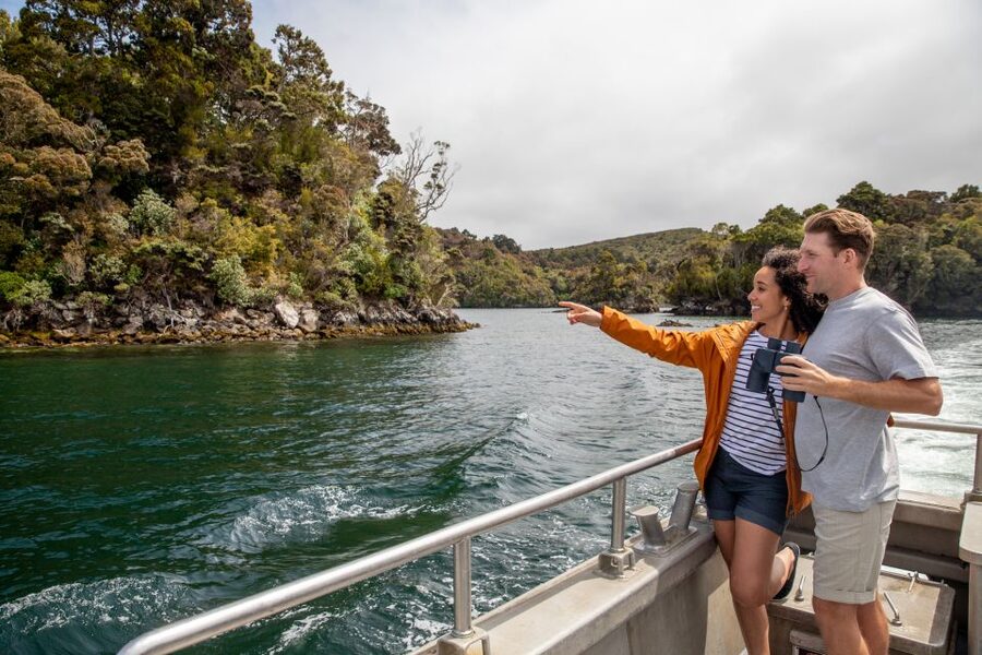 Stewart Island: Ulva Island Guided Wilderness Walk & Cruise - Is $86 good value?