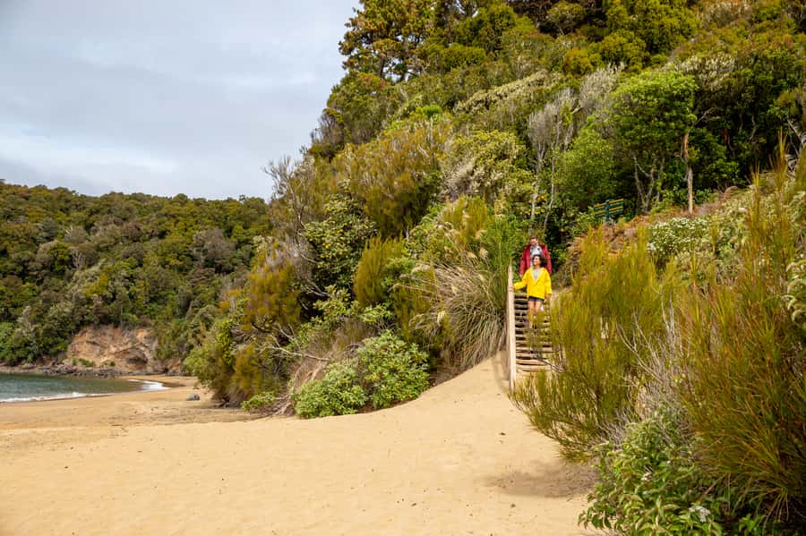 Stewart Island: Ulva Island Guided Wilderness Walk & Cruise - Who should book this outing?