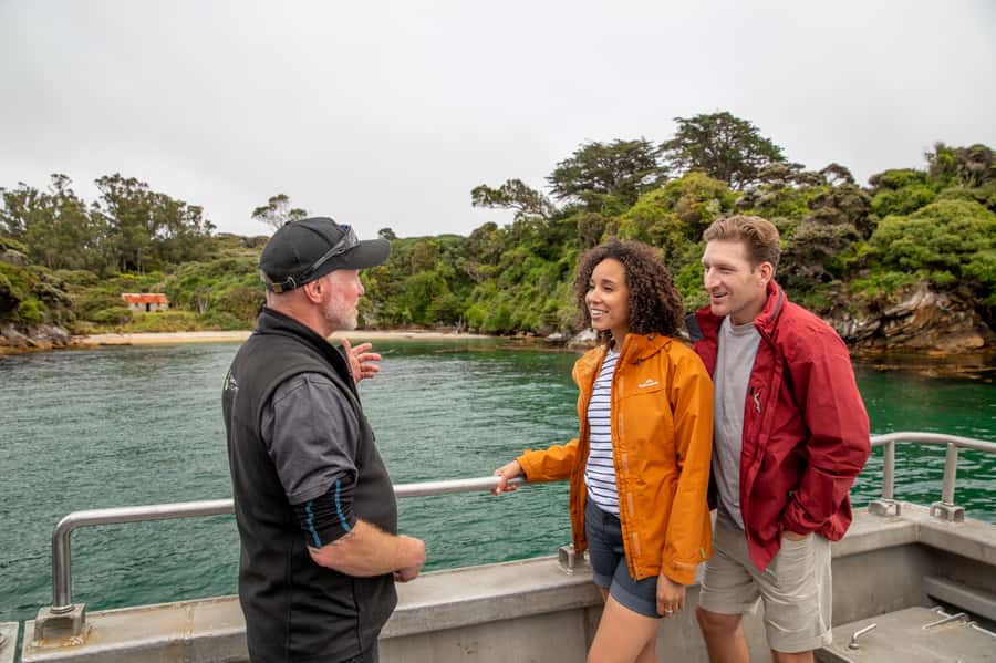 Stewart Island: Ulva Island Guided Wilderness Walk & Cruise - Paterson Inlet is part of the show