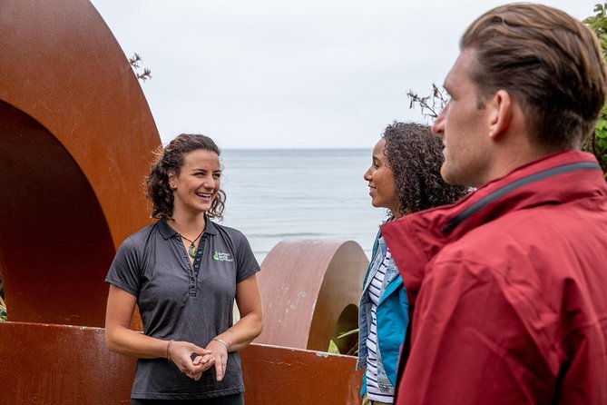 Stewart Island: Village and Bays Tour - A quick way to get your bearings in Oban