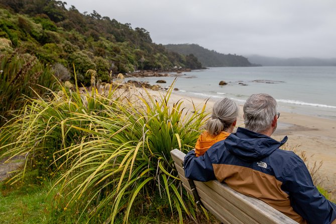 Stewart Island: Village and Bays Tour - Halfmoon Bay and Horseshoe Bay by minibus