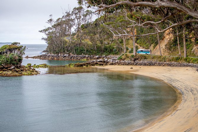Stewart Island: Village and Bays Tour - What the commentary covers, and what it may miss