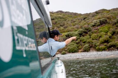 Stewart Island: Wild Kiwi Experiences