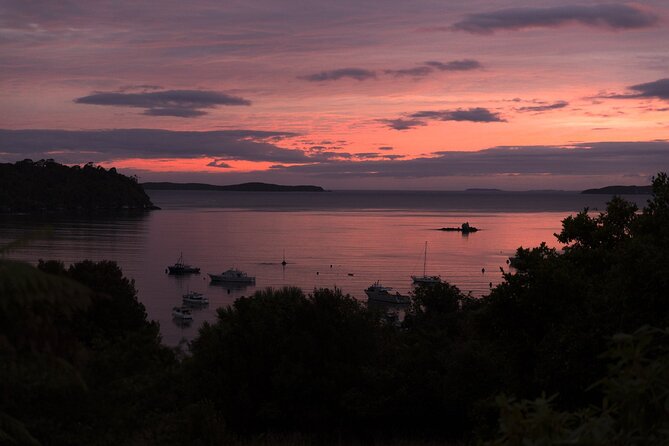 Stewart Island Wild Kiwi Experiences - Is $160.73 good value?
