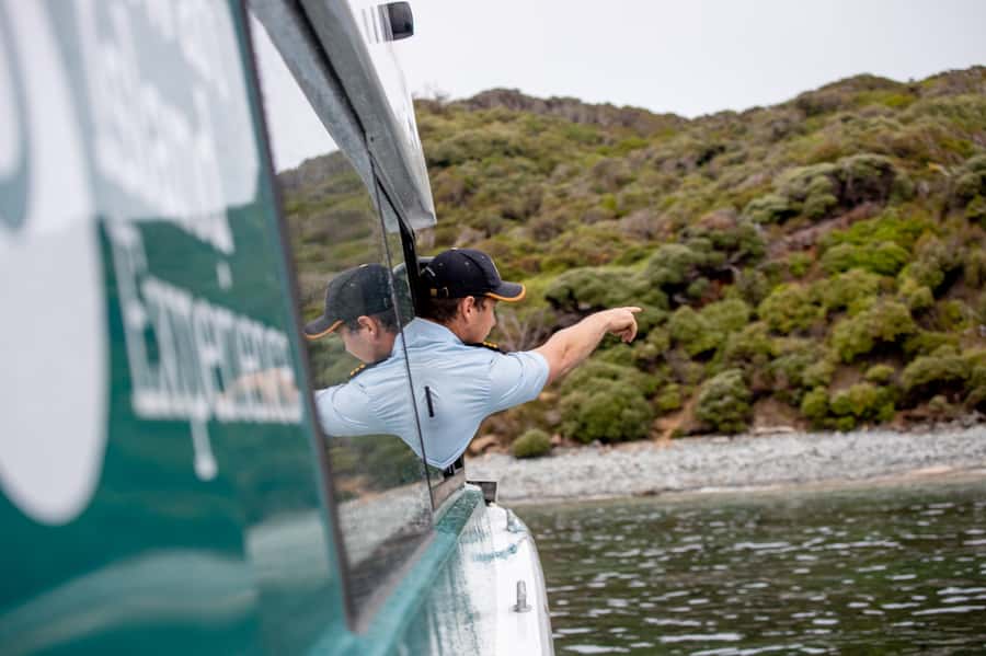 Stewart Island: Wild Kiwi Experiences - Who will enjoy this most?
