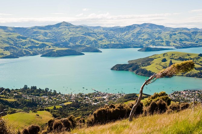 Sunrise wildlife sea kayaking in Akaroa marine reserve - Weather, fitness, and the early start