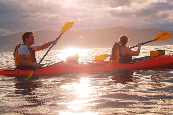 Sunset Evening Kayaking Tour - Kaikoura - The chance of dolphins beside your kayak