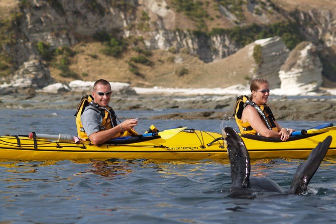Sunset Evening Kayaking Tour - Kaikoura - What to wear and bring for a dry evening