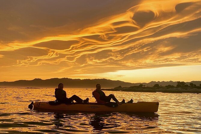 Sunset Kayak tour in Kaikoura - Key points before you book