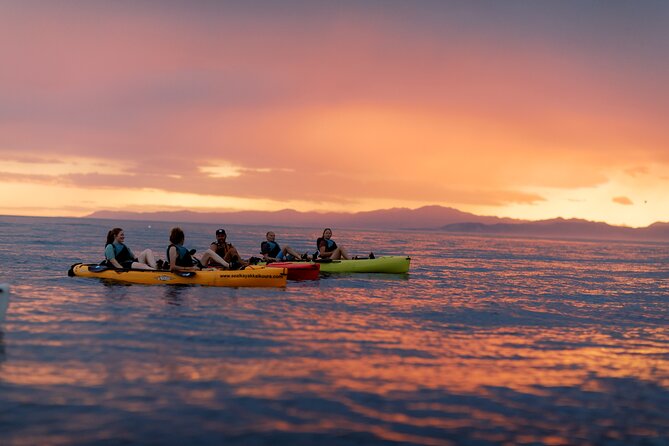 Sunset Kayak tour in Kaikoura - Hobie Mirage Drive kayaks make the biggest difference