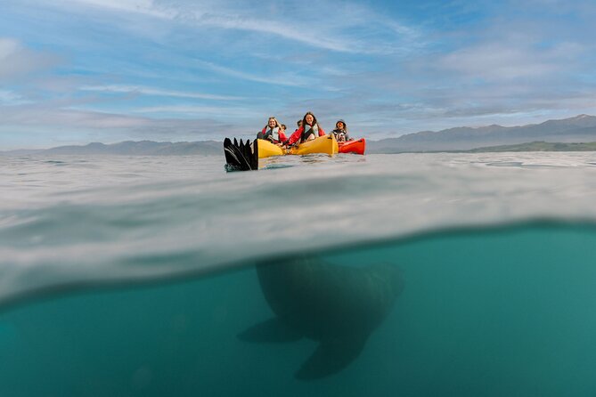 Sunset Kayak tour in Kaikoura - Sunset scenery gives the three-hour trip its rhythm