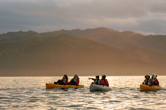 Sunset Kayak tour in Kaikoura - Is €71.53 good value?