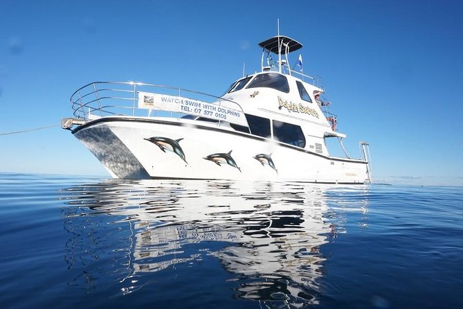 Swim With Wild Dolphins in Tauranga - Getting ready for the water