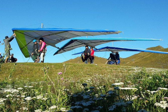 Tandem Hang Gliding - Timing, check-in, and the weather question