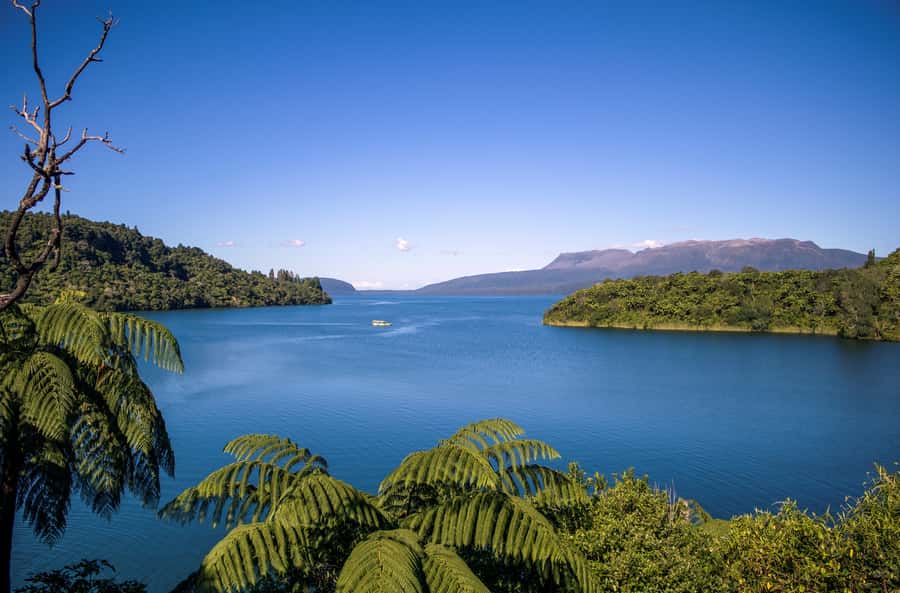 Tarawera and Lakes 2-Hour Duck Eco Tour - Why this unusual Rotorua tour works